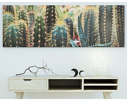 Obraz na plátne Kaktusy, 150x50 cm%